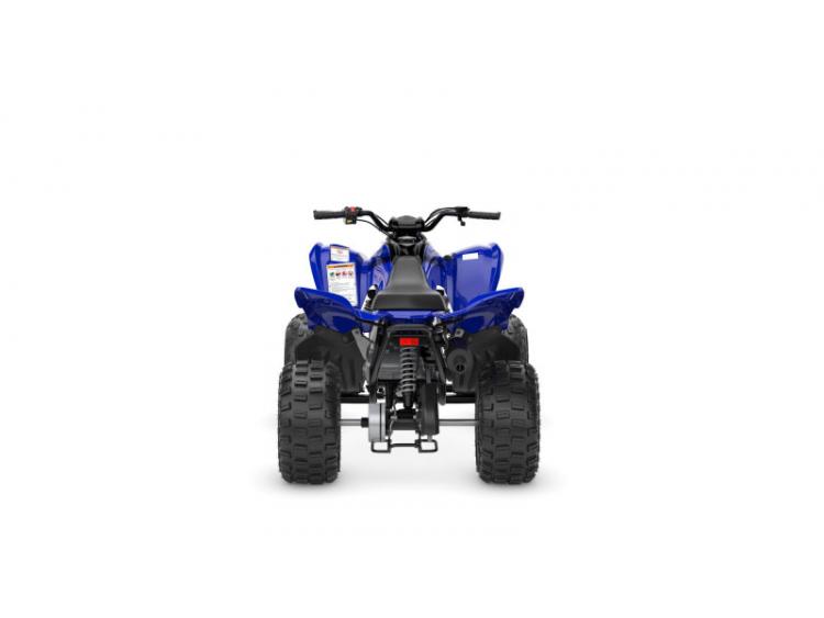 YAMAHA YFM110R 2025